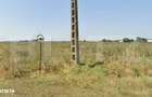 Teren Intravilan 1Ha Front 70 Ml Buda - 3
