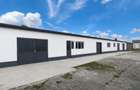 Spatii Hale Depozitare Productie Roman NT - 9