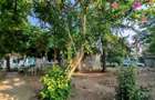 Comision0%-AlmanImobiliare-OazaDeCurte-1100Mp-CasaRenovabila-Mangalia - 11