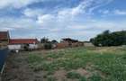 Teren de Vanzare intravilan Cu Nr de casa In Peciu Nou - 3