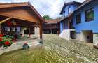 Casa rustica \ Marginimea Sibiului \ Fantanele - 16