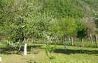 Teren intrare Herculane,E 70 Herculane-Orsova - 6