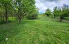 Teren intravilan 2500 mp + casa + anexe, CF 62707 Dej (Pintic nr. 223) 32.500 Euro Neg. - 3