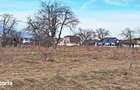 Teren intravilan pentru Investitie!,933mp in Ghimbav, 50 euro/mp neg. - 6