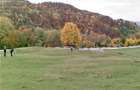 Breaza - Nistoresti, Str. Muresului, teren intravilan, suprafata 6.144 - 5
