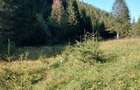 Teren de vanzare 3800 m2 - 4