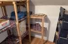 Vila P+M cu 3 dormitoare, curte amenajata si utilitati complete, Marac