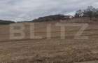 Teren parcelabil, de investitie, 1000-7500 mp in Valea Seaca, Baciu - 1