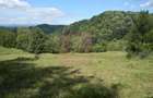 Teren intravilan de vanzare in Telega - 15