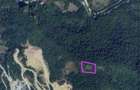 Terenuri extravilan zona Pietroasa spre Boga - 1