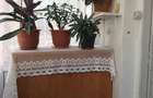 Apartament cu 3 camere semidecomandat în Central - 7