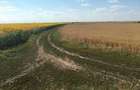 Vand 116 HA teren agricol in judetul Arad - 3