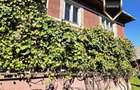 Casa duplex P+1 - 3 camere, bucatarie, 2 bai - Sovata Sacadat