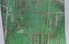 Golf tancabesti snagov 50,000MP - 4