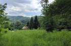 Teren 950mp intre Pucioasa si Sinaia - 2