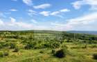 🏡 Apartament premium cu 3 camere | Sopor – View superb către pădure | - 16