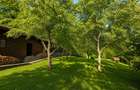 Mountain Chalet | Private Resort | Investment - Nistoresti - 1