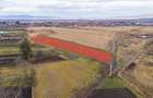 Teren extravilan Bod, 10.000 mp, acces DE 290, zona spre Harman - 12