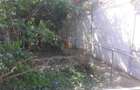 Casa+Spatiu Comercial ,Steren 534mp, zona Progresu