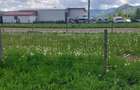Teren de 2630 mp, în Vama Buzăului - 1