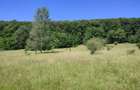 Teren extravilan Pietrosani, Arges - 1
