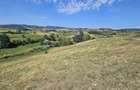 Teren 4.454 mp de vanzare in Sichevi?a - 3