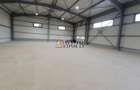 Hala Domnesti Centura 440 mp -3500 Euro - 2