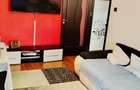 Apartament 2 camere parter Vlaicu - 2