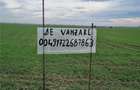 Teren extravilan de vanzare 10.000 mp sacalaz -timis - 2