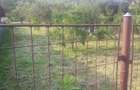 Casă cu 3 camere în Dumbrăveni - 3