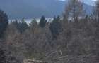 Teren de 2000 mp, în Hangu