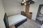 Apartament 2 camere de inchiriat Timisoara, zona Aradului - 6