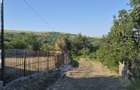 Teren intravilan de vanzare - 5