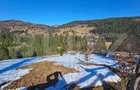 Teren 2 ha, cu padure proprie si panorama spre munti, Arieseni - 11