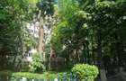 Particular - vand apartament 3 camere / Bd Alex Obregia - 16