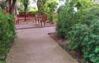 Vand apartament 2 camere - 6