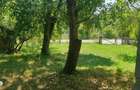Casa cu 2 camere, teren 3000 mp, padure - 9