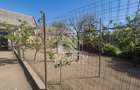 PROPRIETATE PREMIUM TEREMIA MARE - APOSTU ESTATE - 4