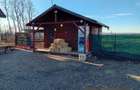 Vand teren 5000 mp Harlesti Jud. Bacau cu deschidere 26 m la E85