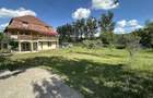 Vand casa mare+65 arii teren intravilan