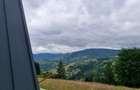 Vand cabana A frame in Apuseni - 2