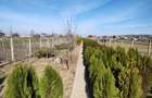 Vand teren in Mirila - 3 km de oras Bals - 1