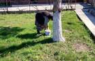 Vand casa P+M, Contesti DB ( Proprietar ) - 3