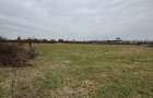 Teren intravilan 72 ari, front generos 54 ml Zona Doua Veverite - 3