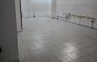 Demisol 203 mp + curte 85 mp in Sector 1,Bucurestii Noi - 7