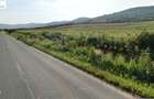 Lot compact 18,57 HA , vita de vie nobila pe rod - 1