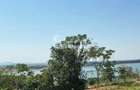 | Apartament cu 6 camere | 172 mp | Mobilat si Utilat complet | Faleza | - 1