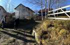 Vand cabana,Zona Turistica Rusu,Muntii Paring - 1