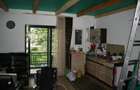 Vand casa de vacanta in statiunea Baile Herculane - 6