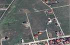 OCAZIE! EFORIE NORD, TEREN DE 1.666 MP,  PRET 125 000 EURO - 5